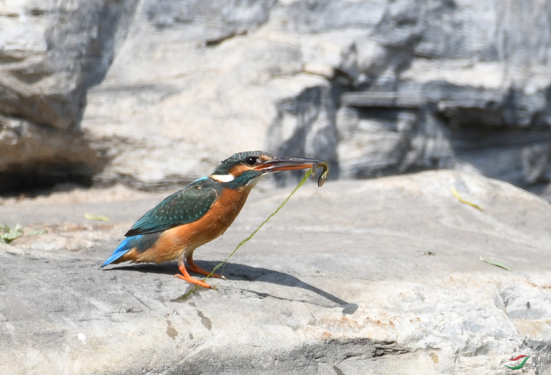 ������Ӱ 5677����.jpg