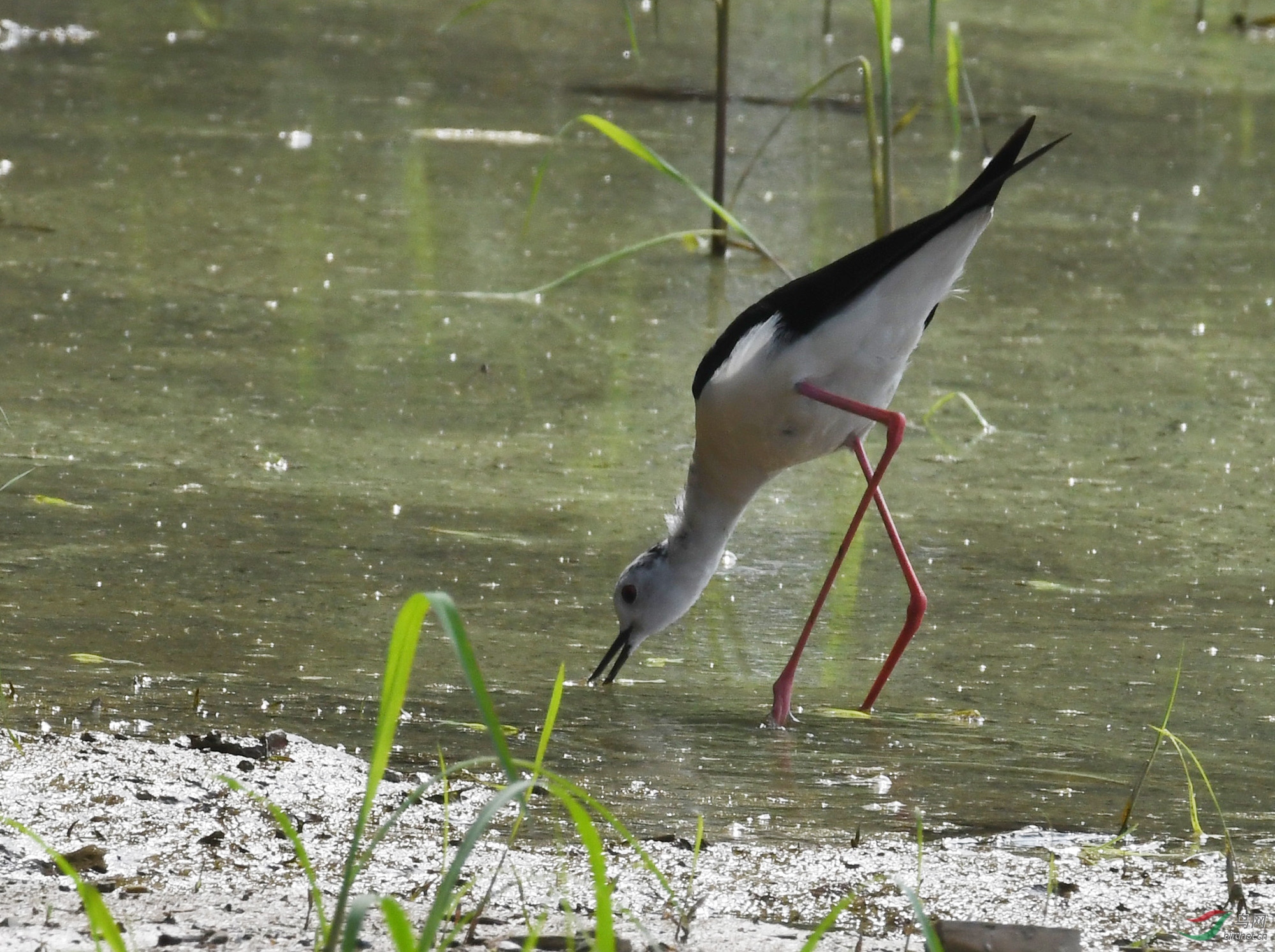 ������Ӱ 044����.jpg