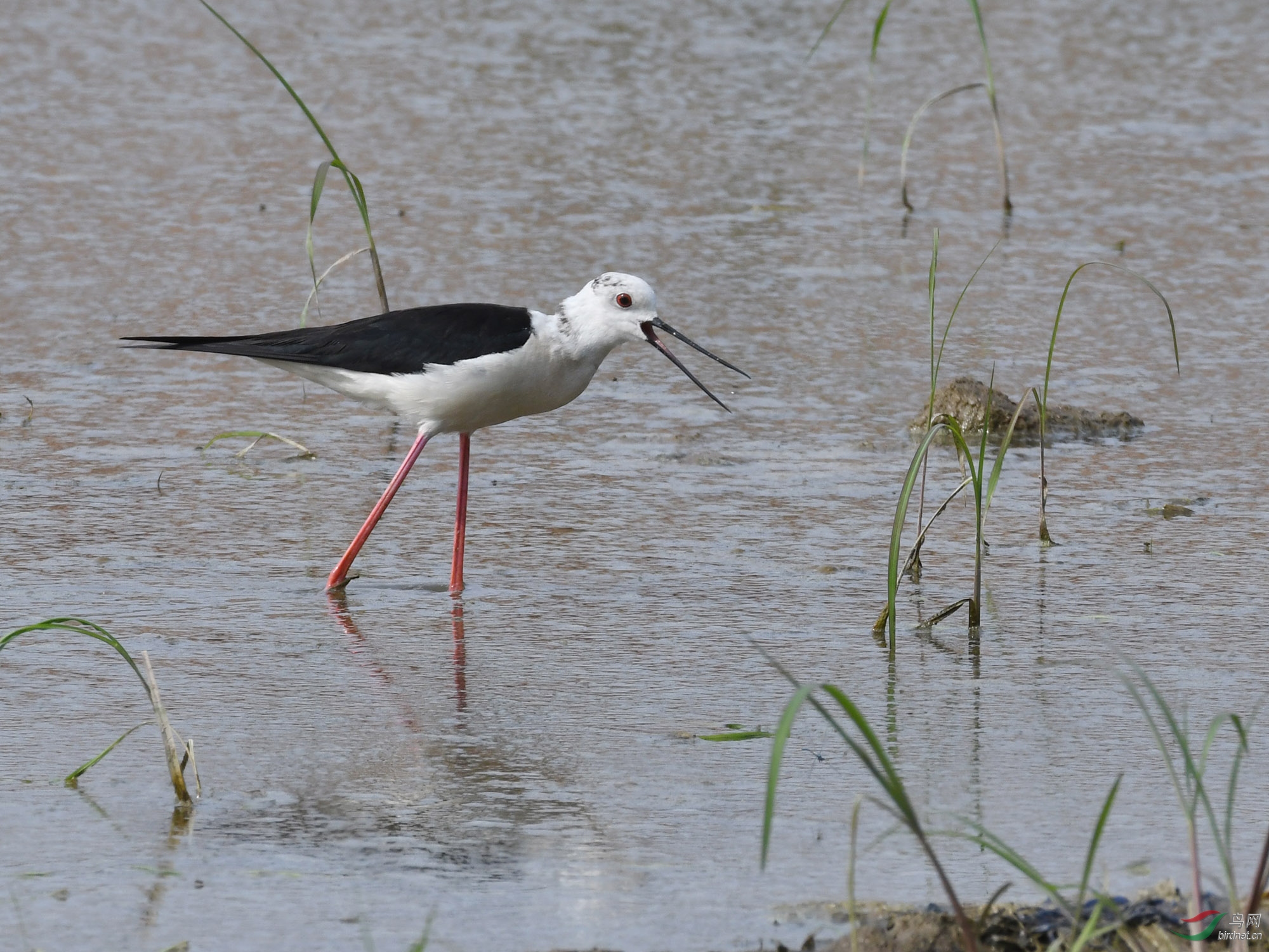 ������Ӱ 154����.jpg