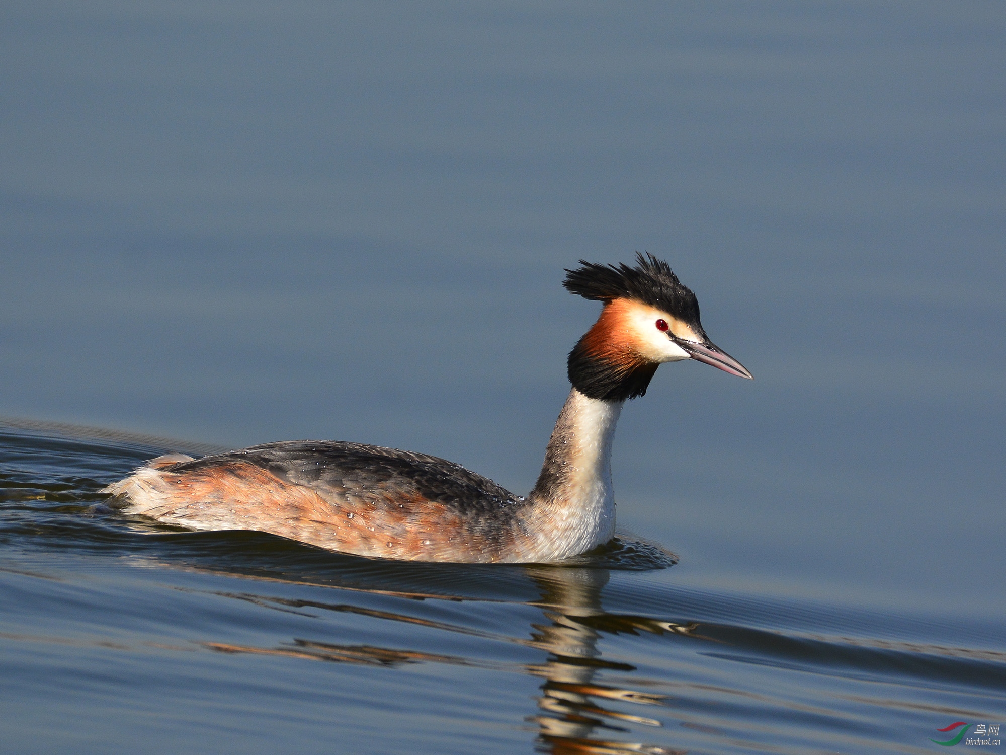 ������Ӱ 786����.jpg