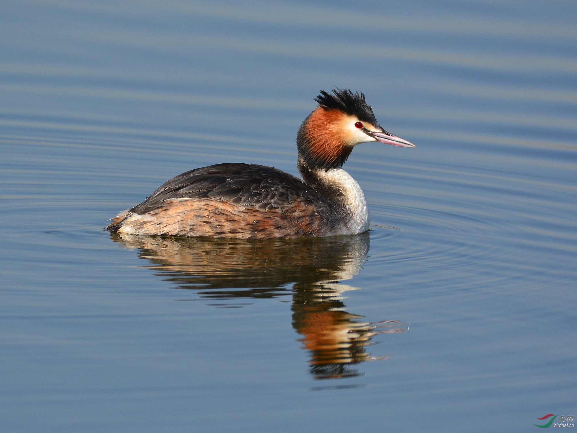 ������Ӱ 809����.jpg