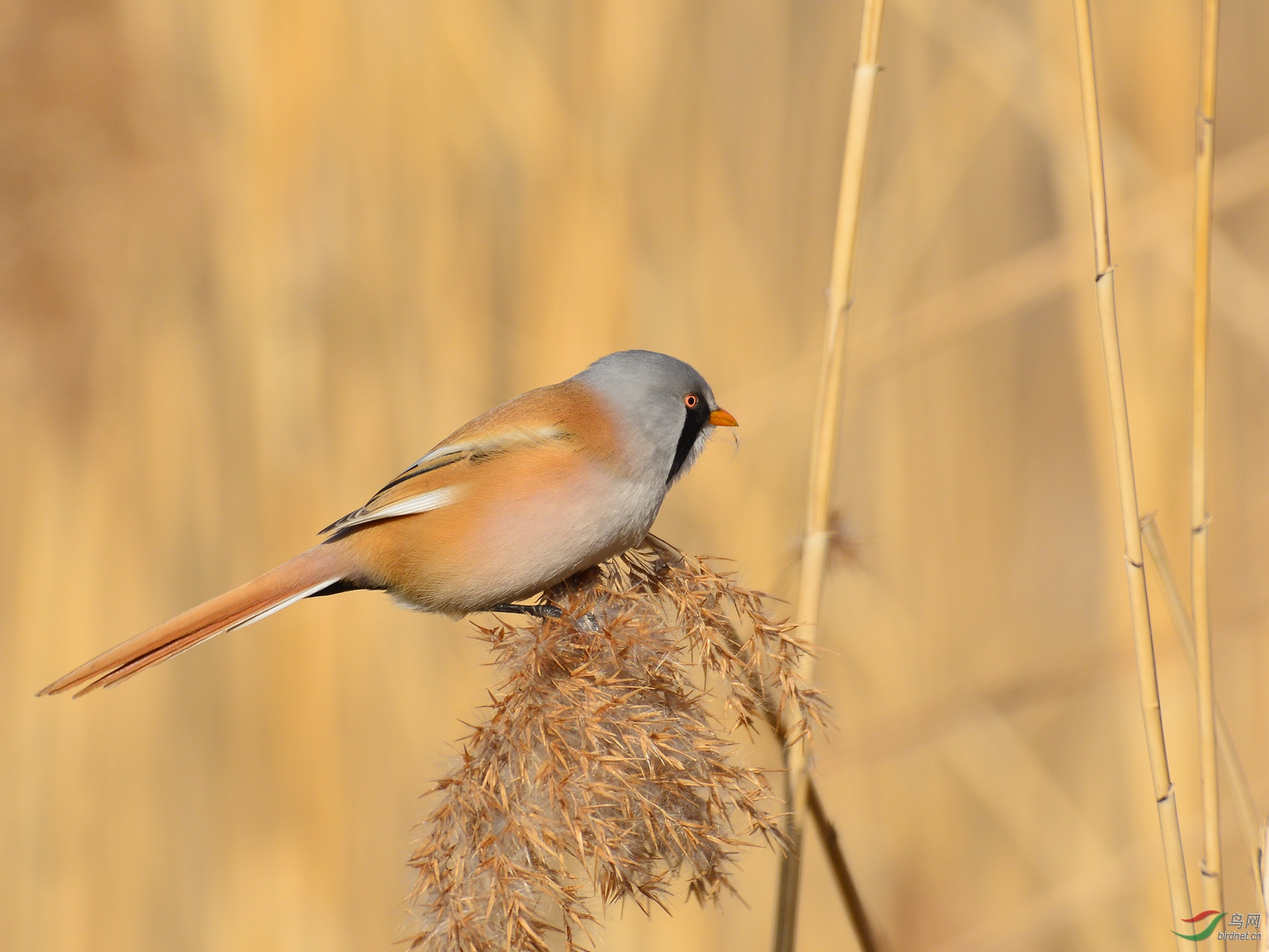 ������Ӱ 846����.jpg