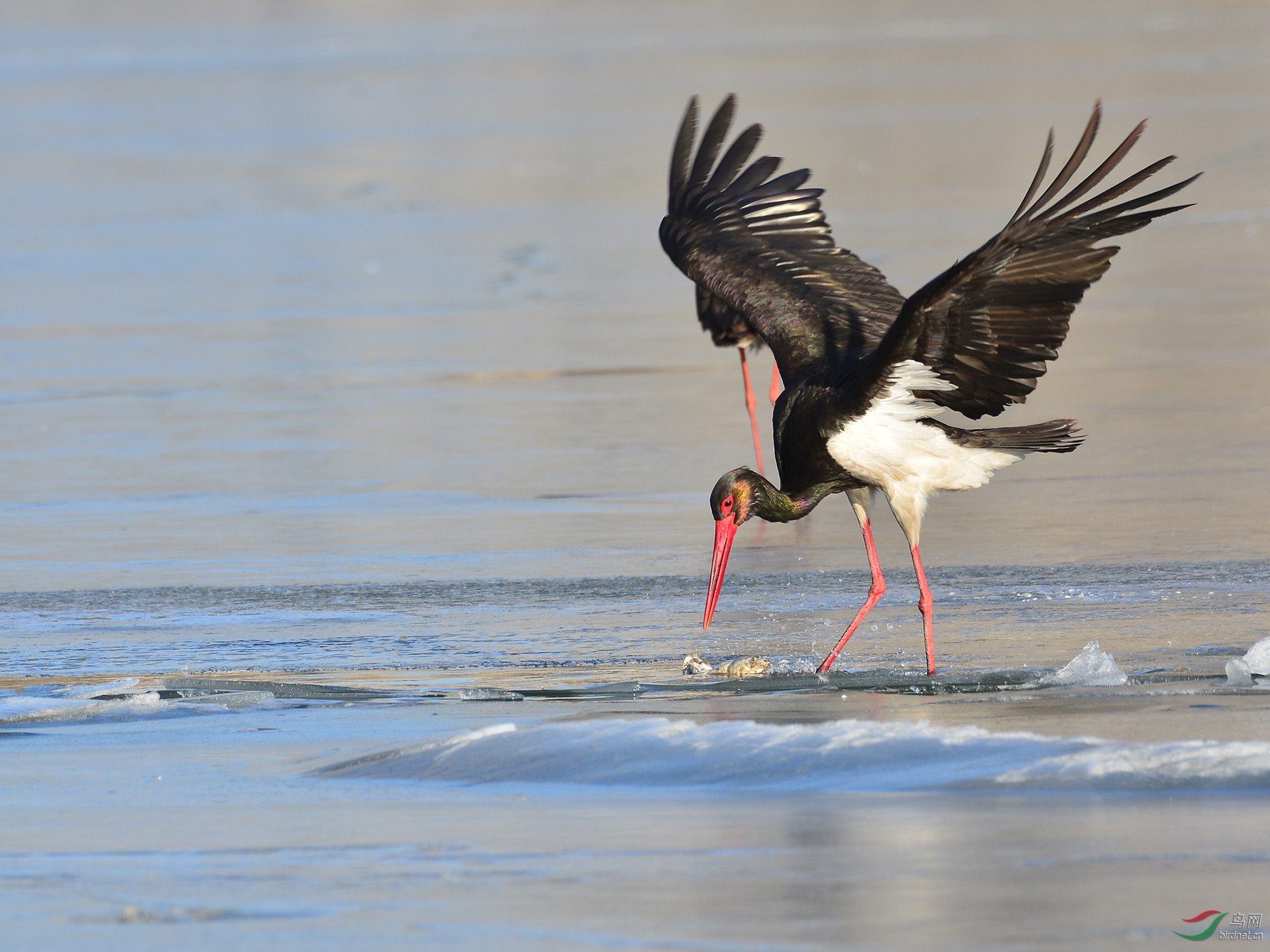 ������Ӱ 3924����.jpg