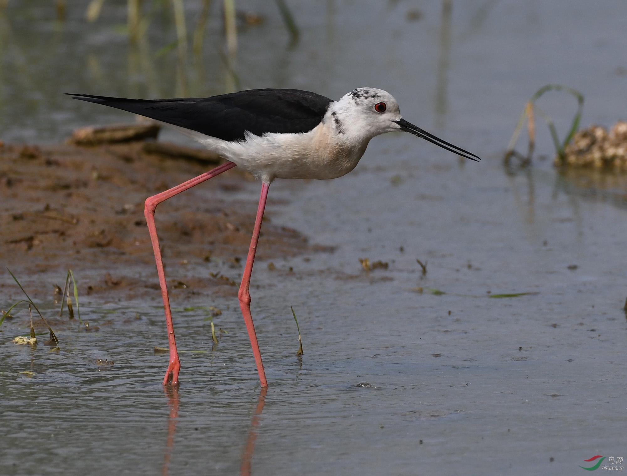 ������Ӱ 363����.jpg