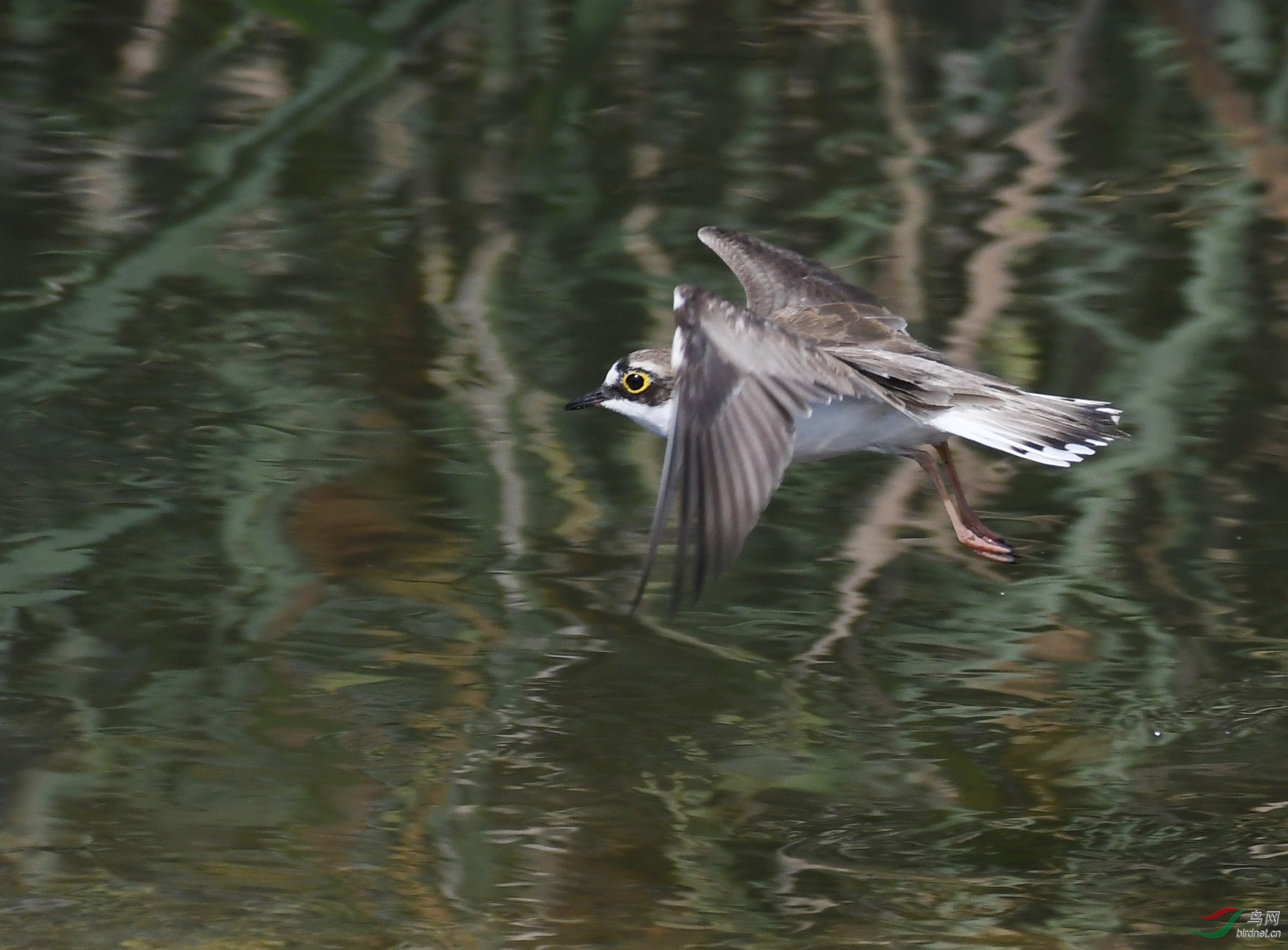 ������Ӱ 1991����.jpg