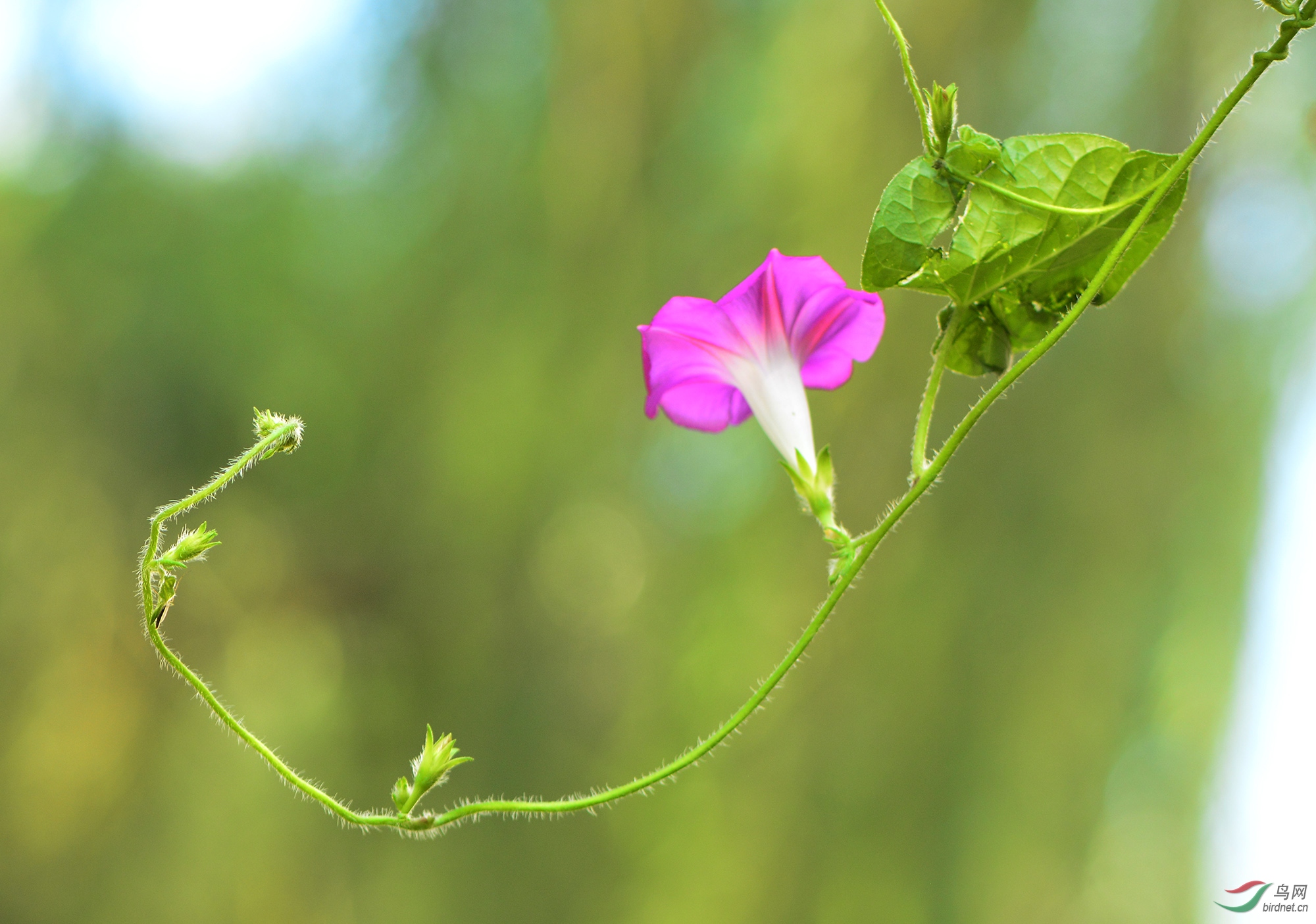 ������Ӱ 2247����.jpg