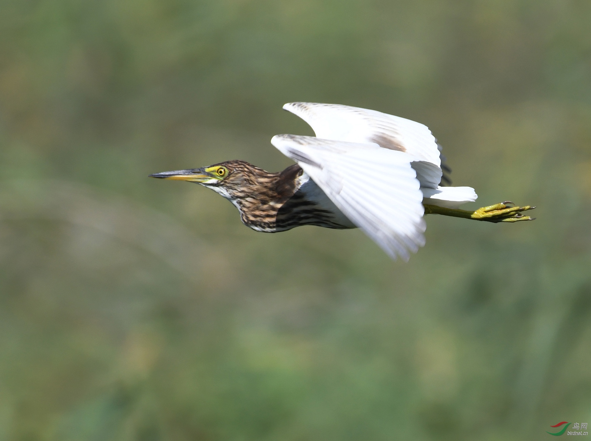 ������Ӱ 2731����.jpg