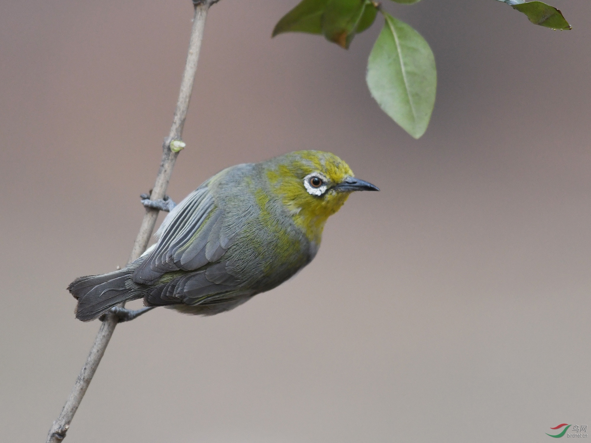 ������Ӱ 487����.jpg