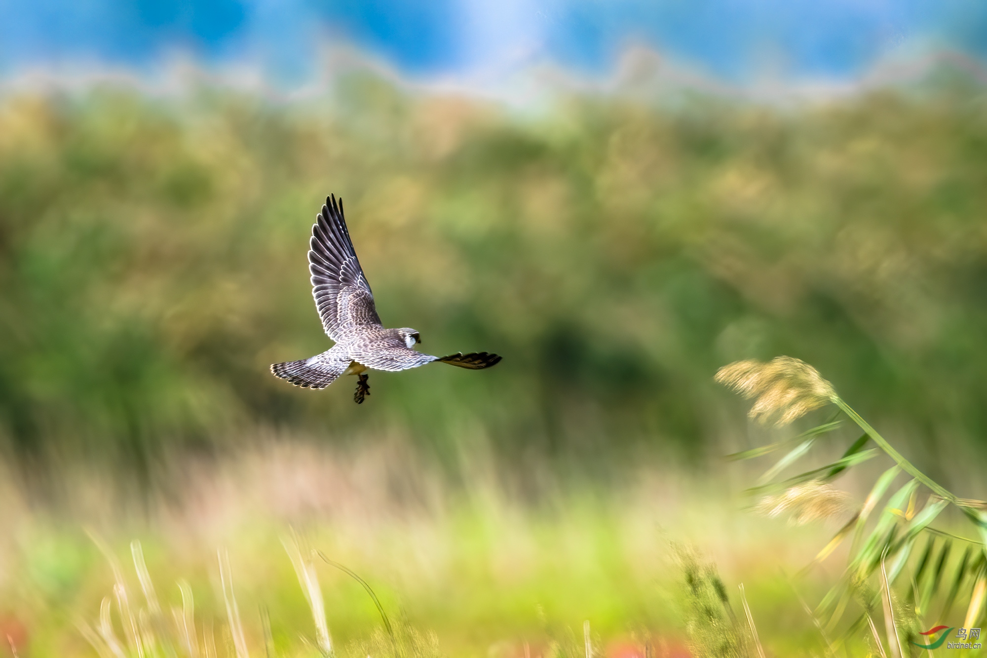 SNQ_5756-1-����.jpg