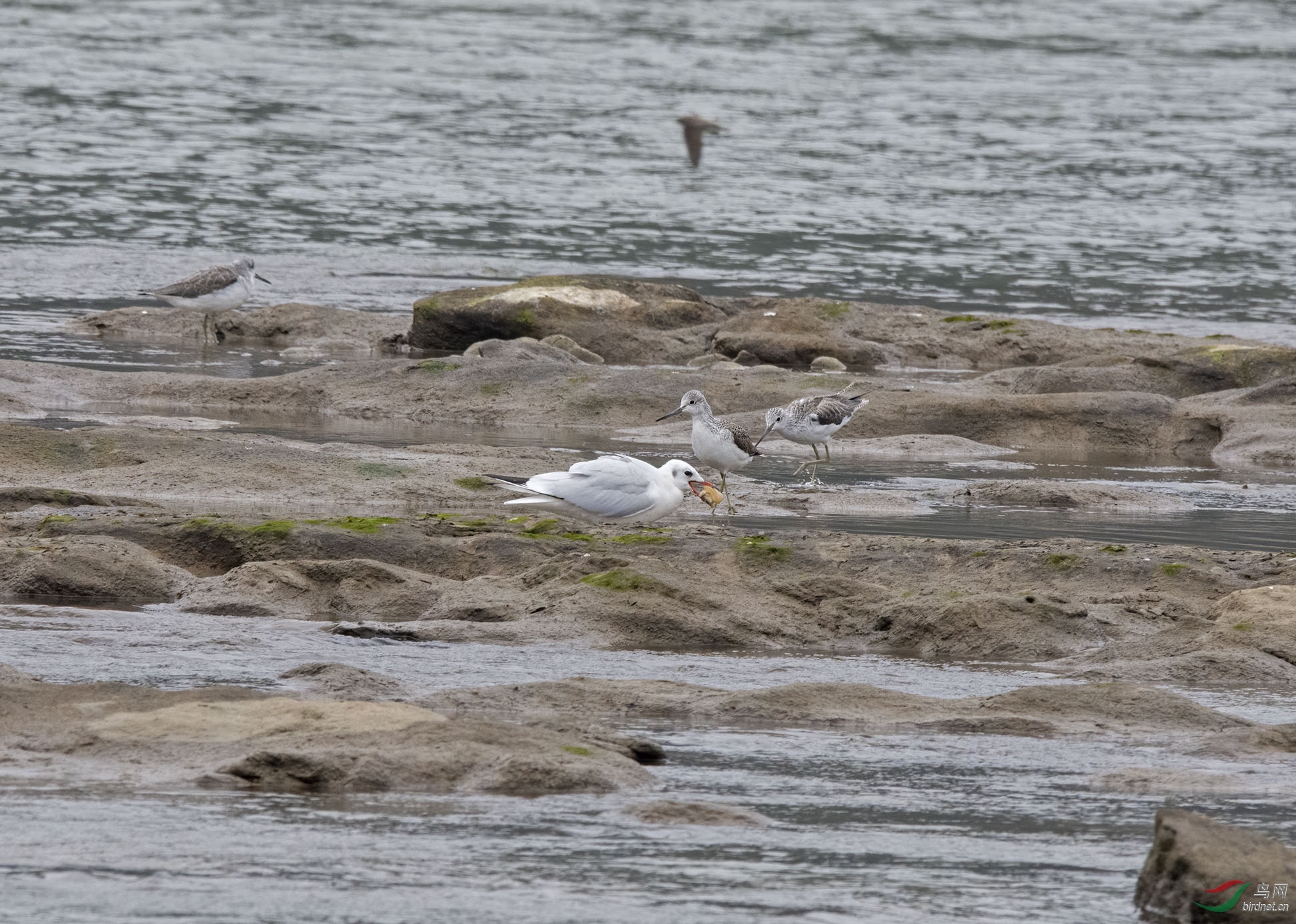 DSC_2616.jpg