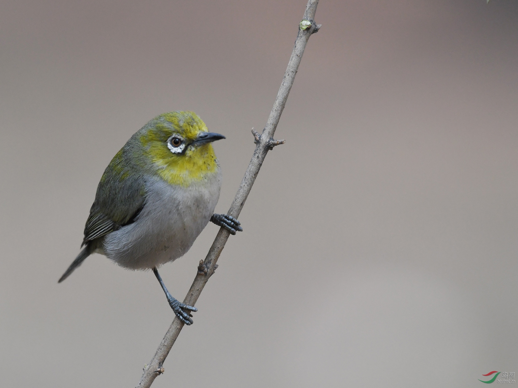 ������Ӱ 398����.jpg