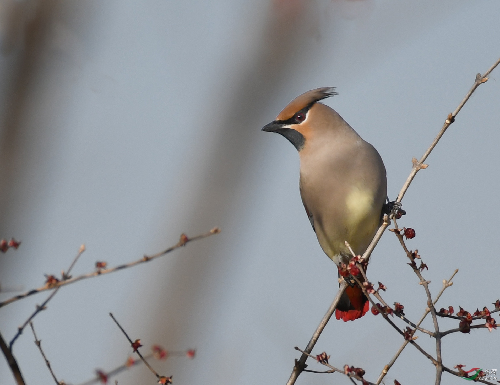 ������Ӱ 1566����.jpg