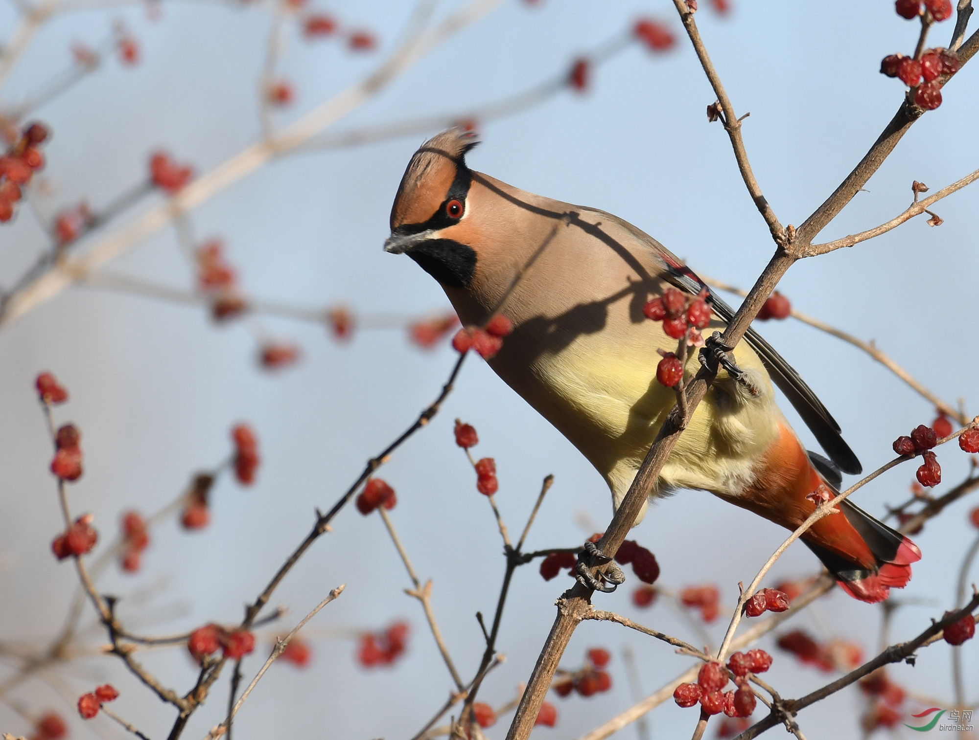 ������Ӱ 1705����.jpg