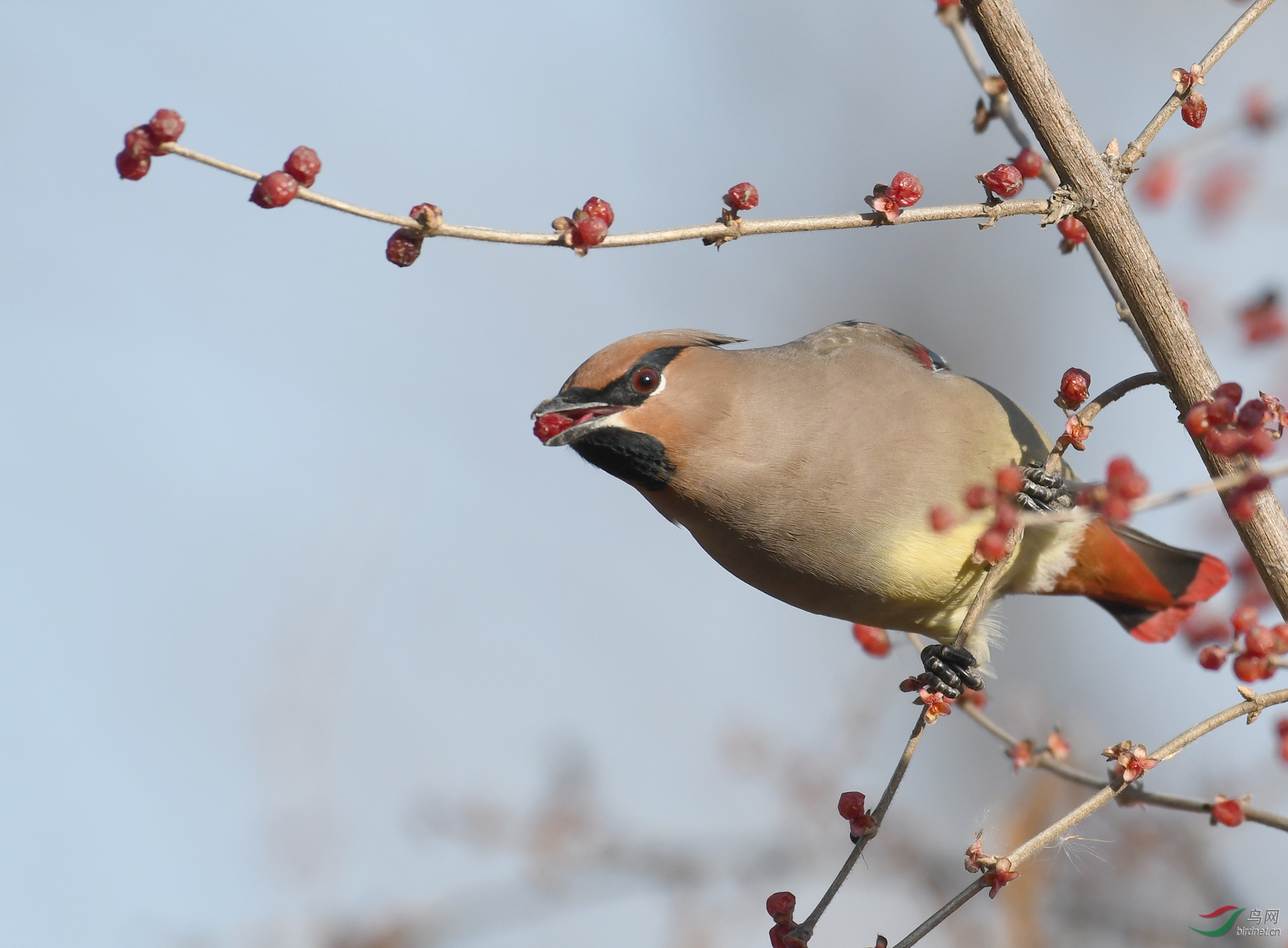 ������Ӱ 1714����.jpg