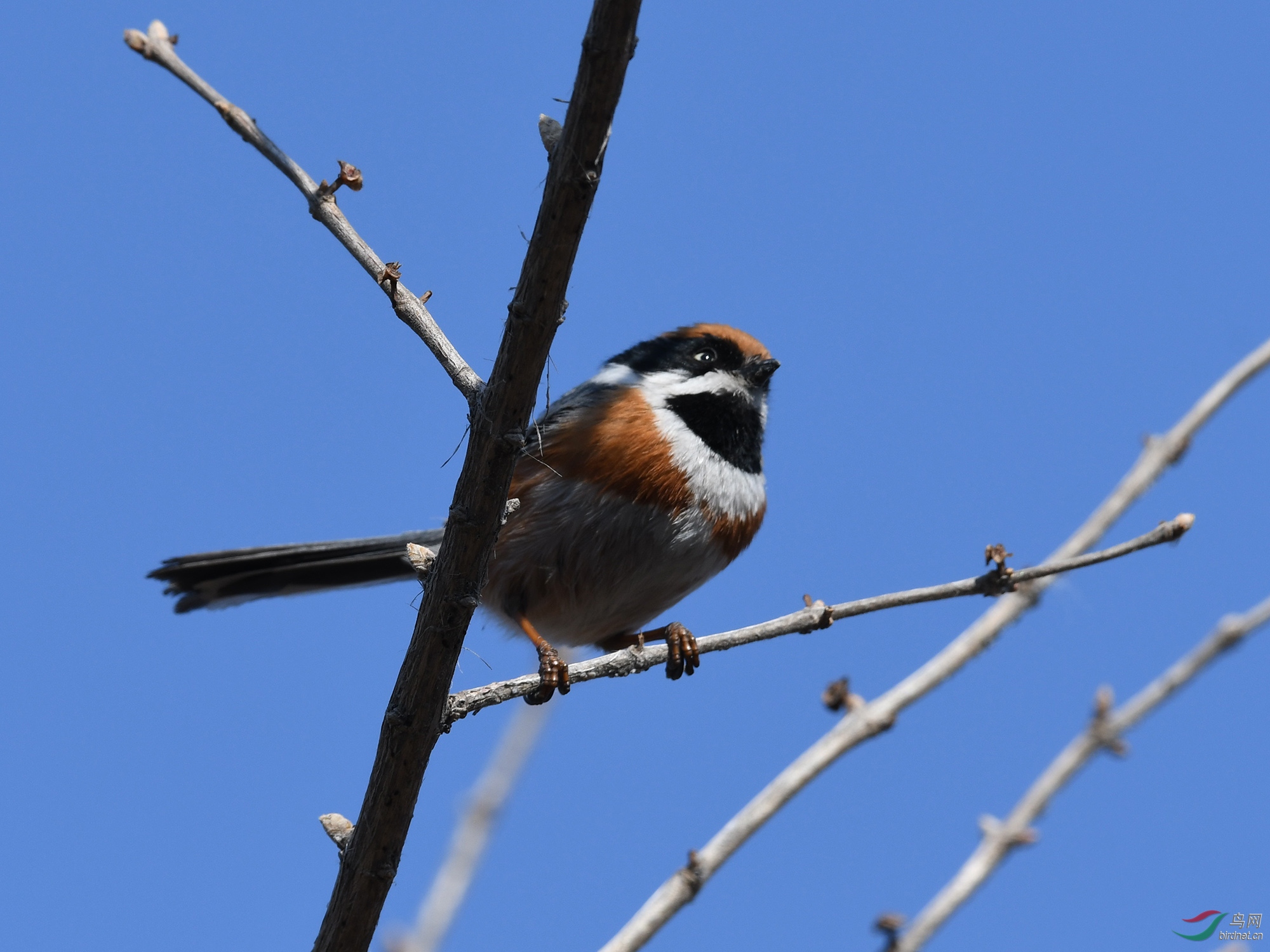 ������Ӱ 1161����.jpg