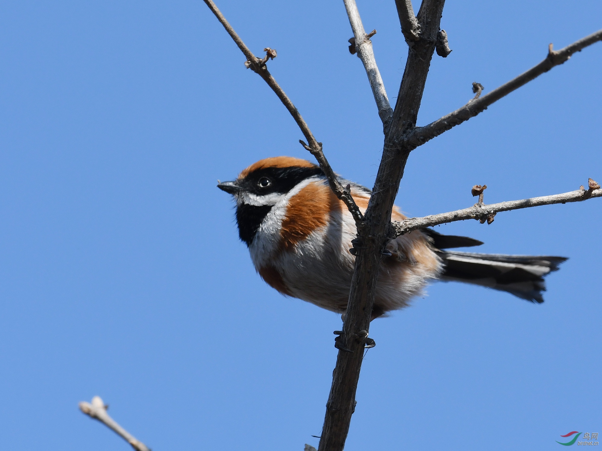 ������Ӱ 1182����.jpg