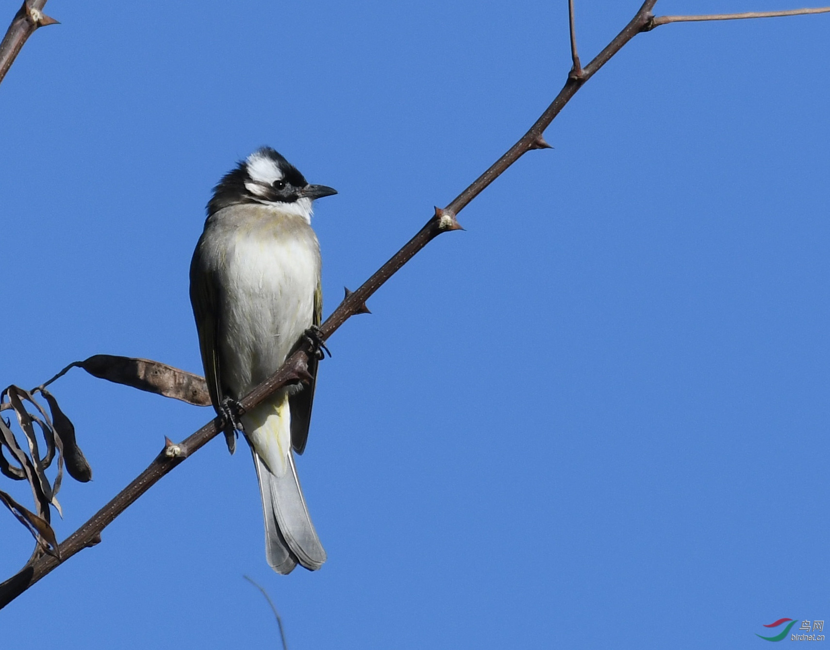 ������Ӱ 210����.jpg