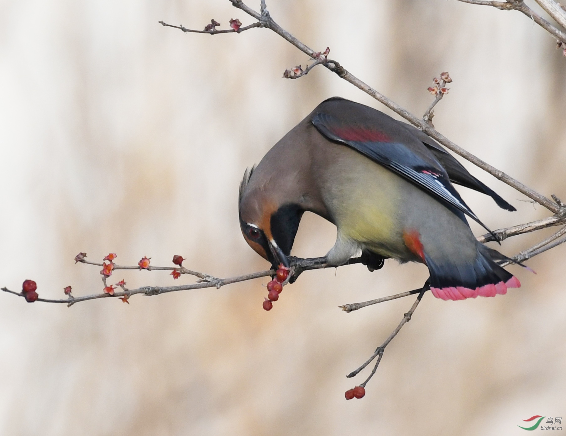 ������Ӱ 1010����.jpg