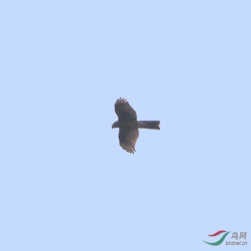 P5710897 - ����.JPG