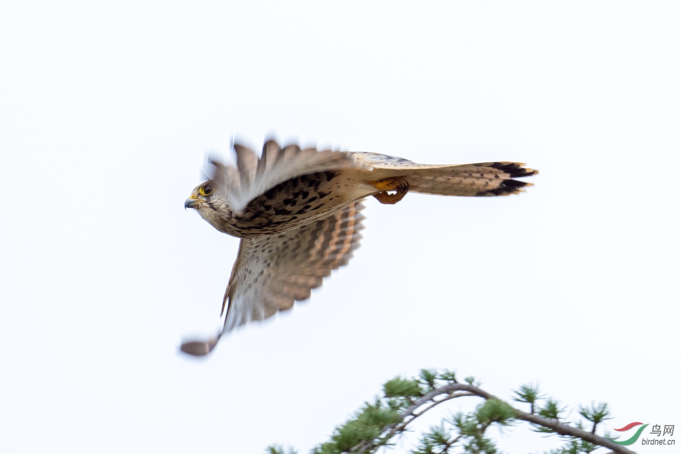 DSC_6347.jpg