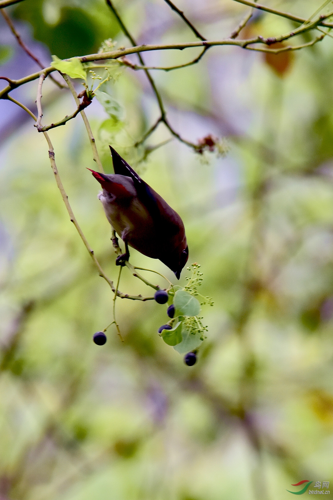 DSC_1112.JPG
