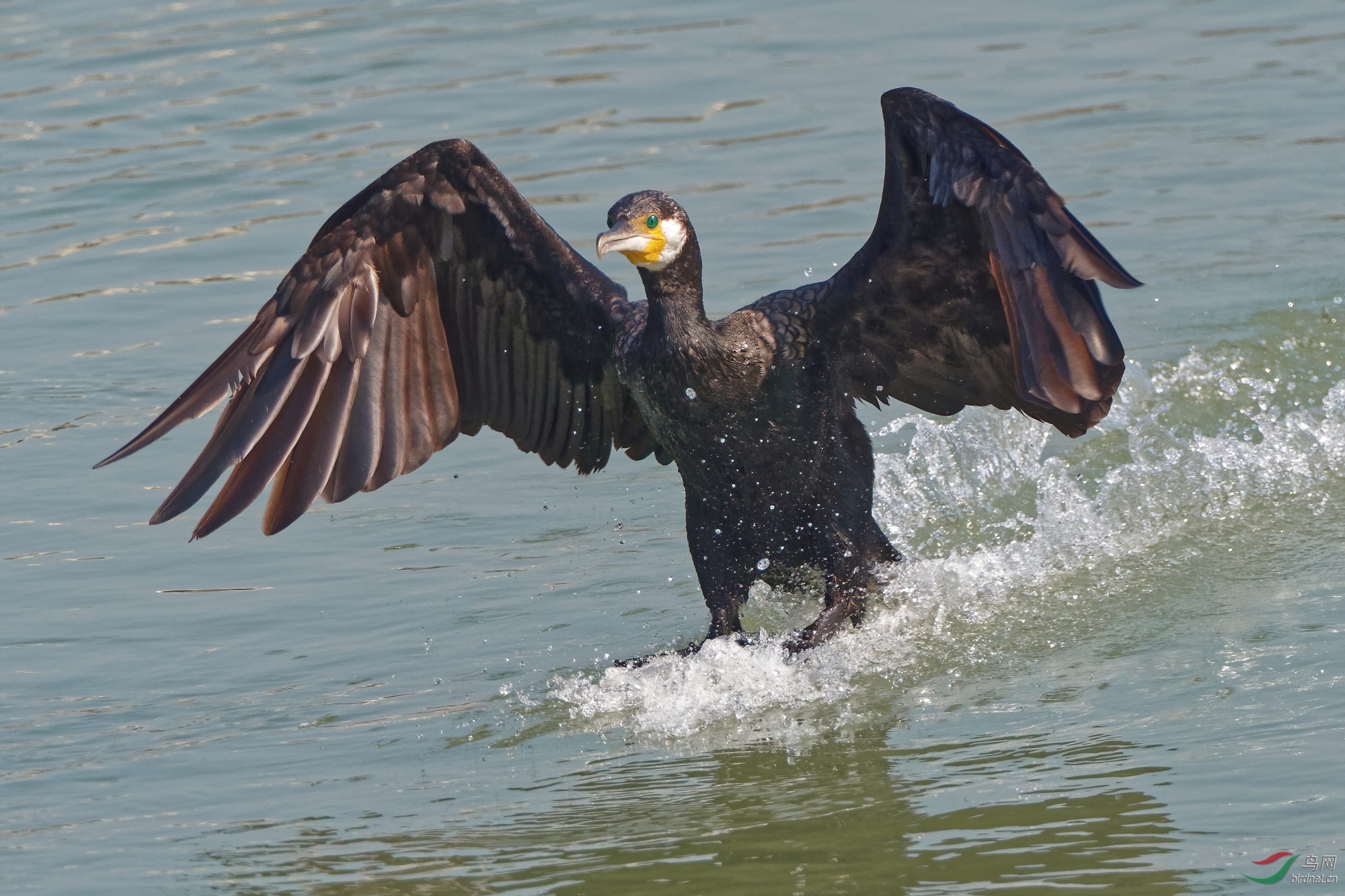 PB120278_DxO-d2.jpg