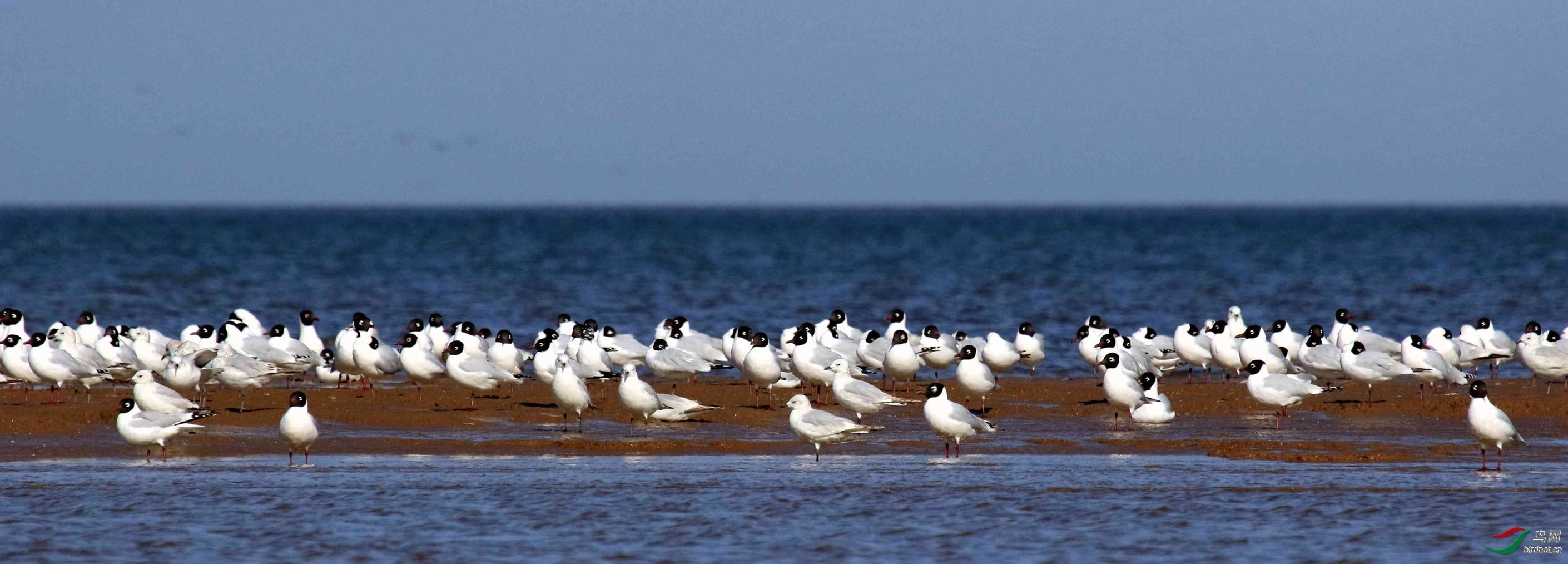 ũ�ҵ��� ��ʦ������ɽ��ʡΫ����.jpg