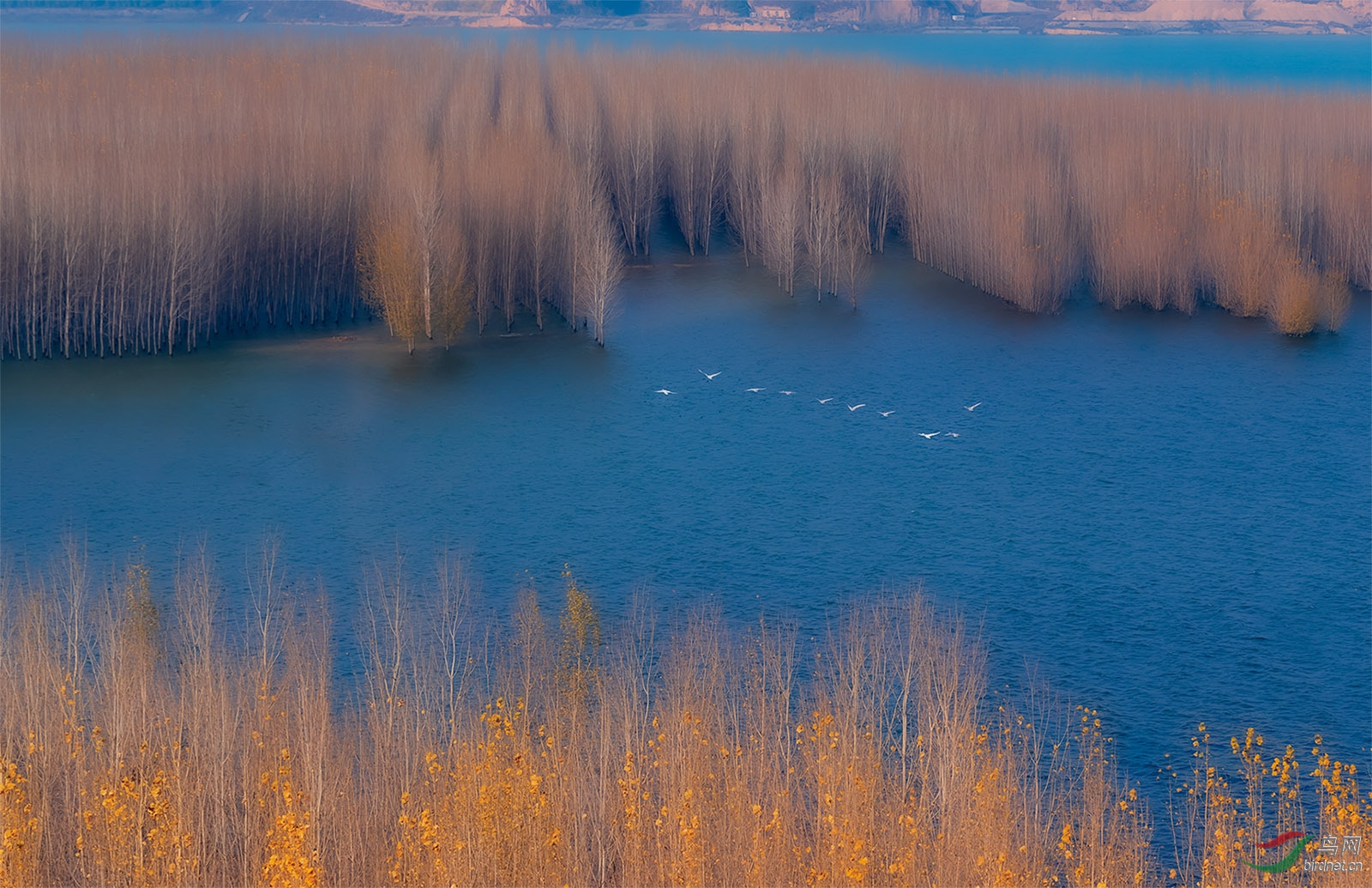 ���ѵ�����δ��