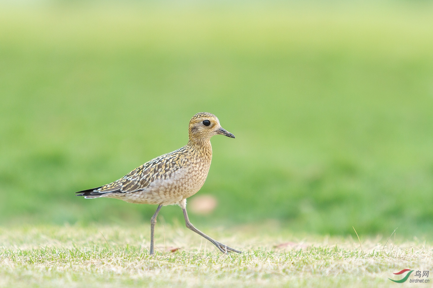 ����a_MG_0508-01