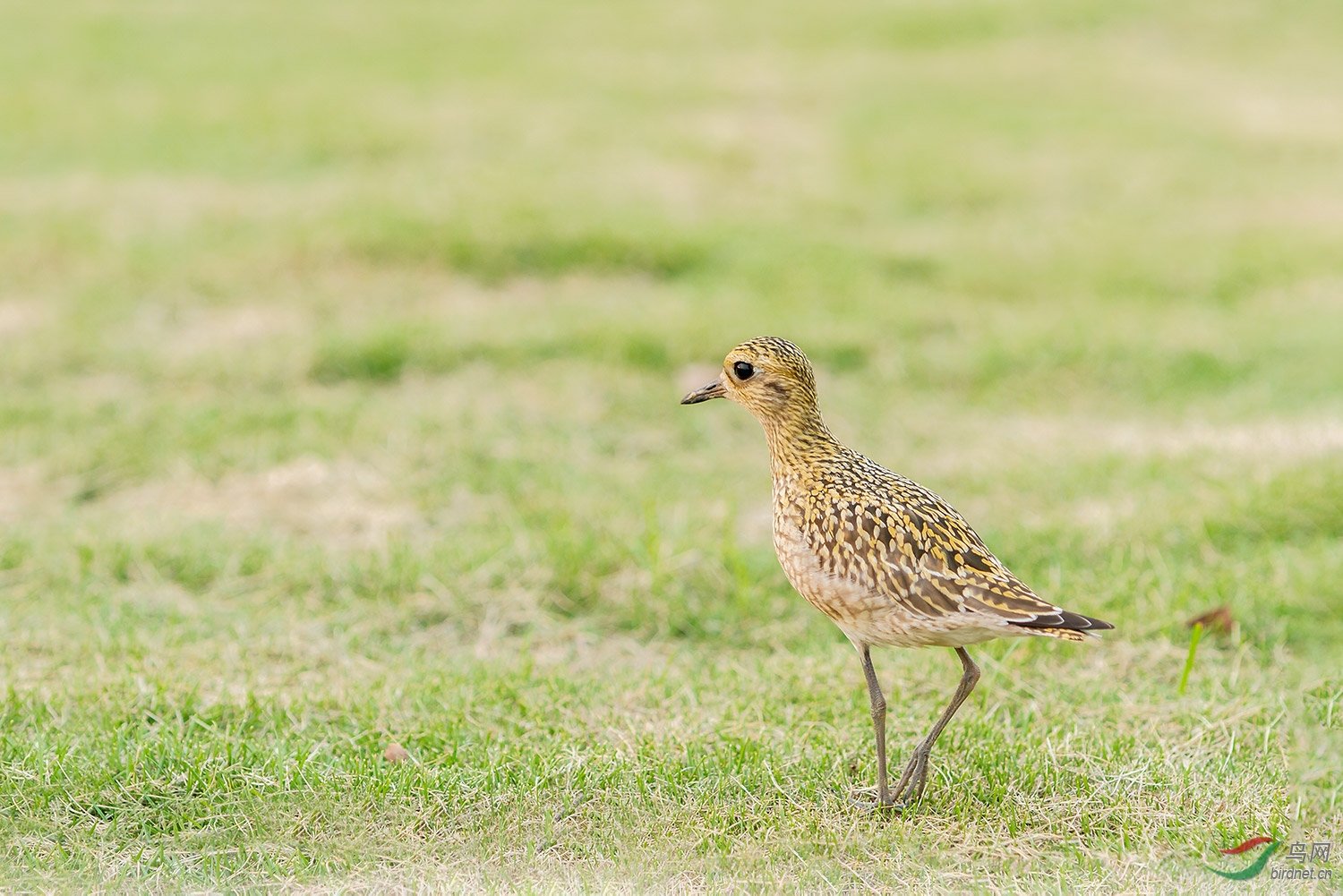 ����a_MG_0543-01