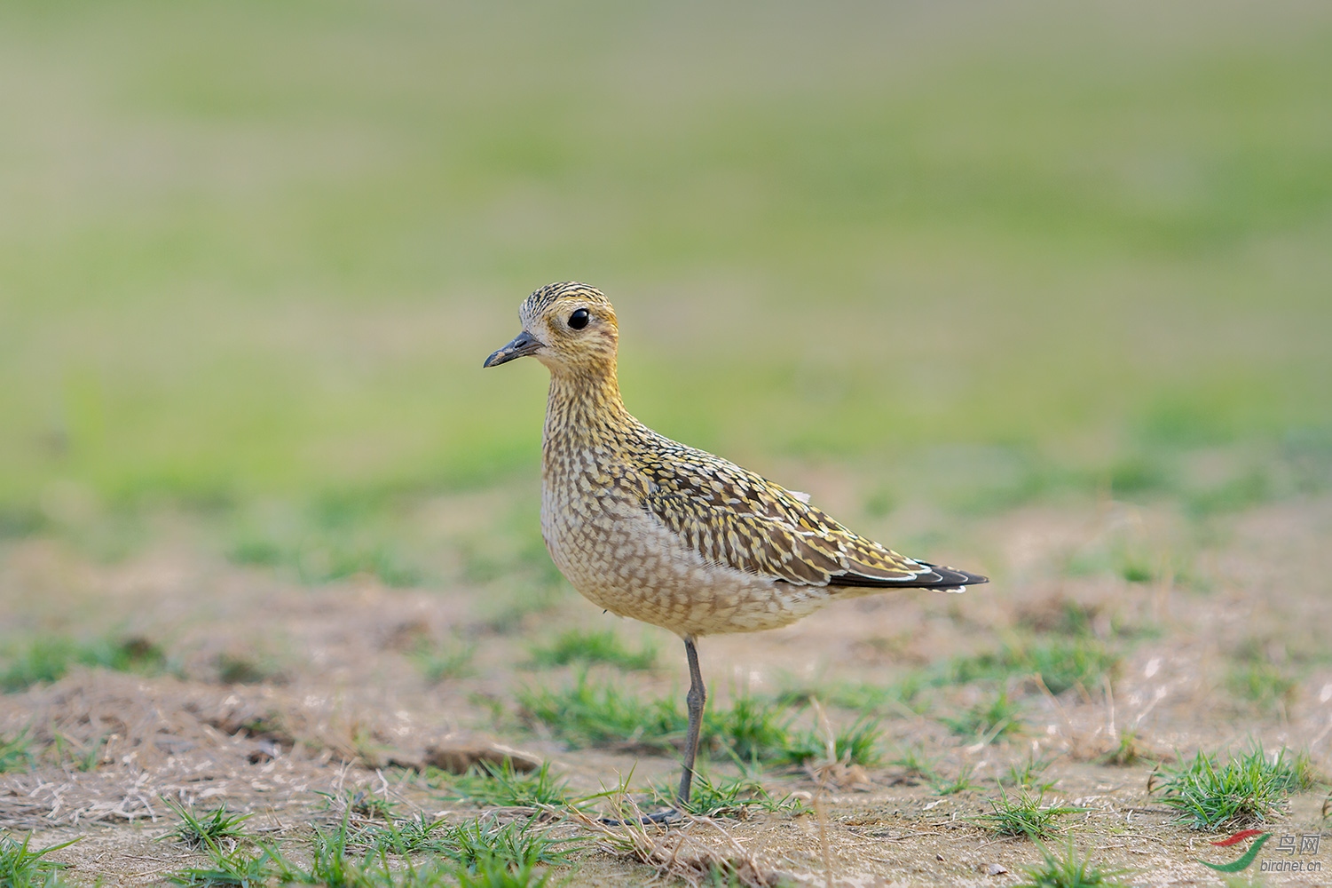 ����a_MG_0419-01