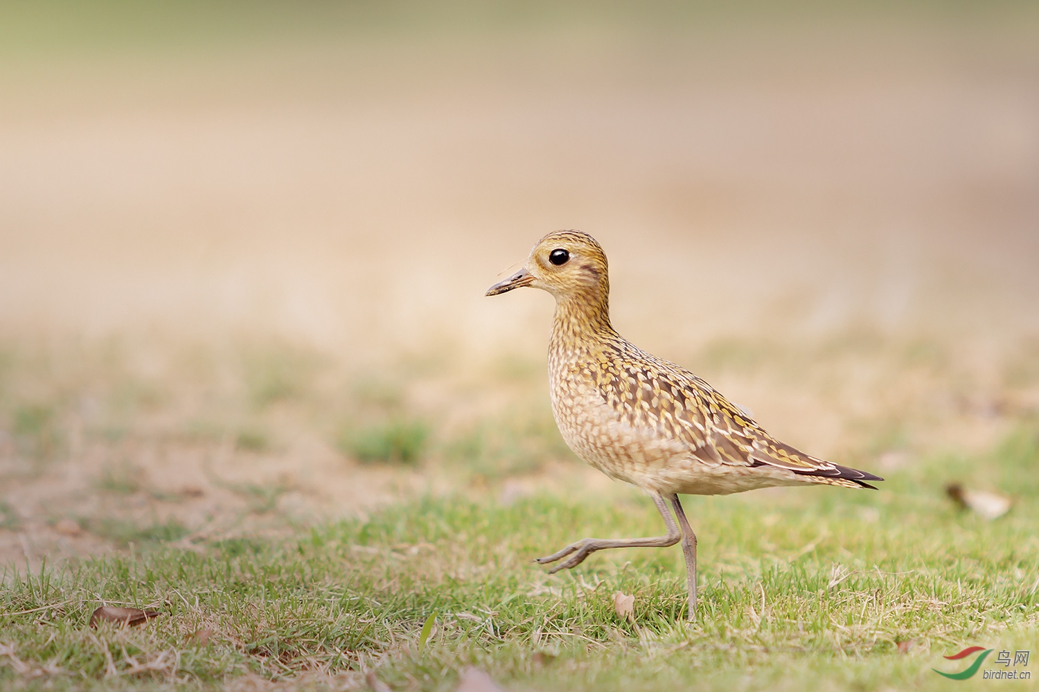 ����a_MG_0207-01