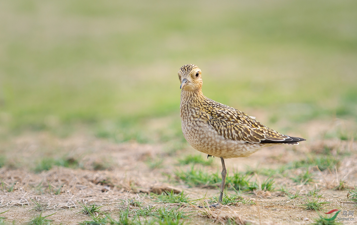 ����a_MG_0405-01