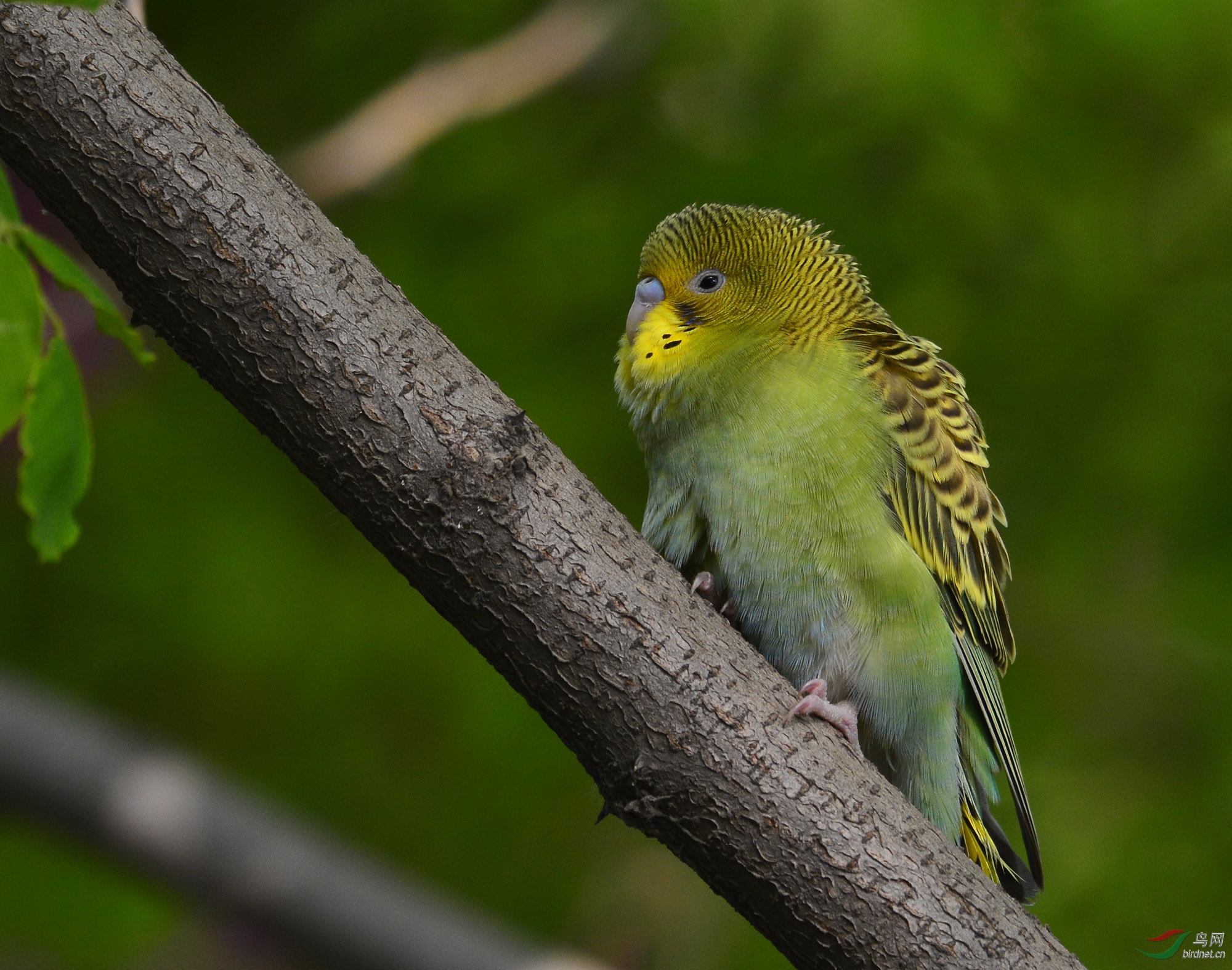 ������Ӱ 169����.jpg