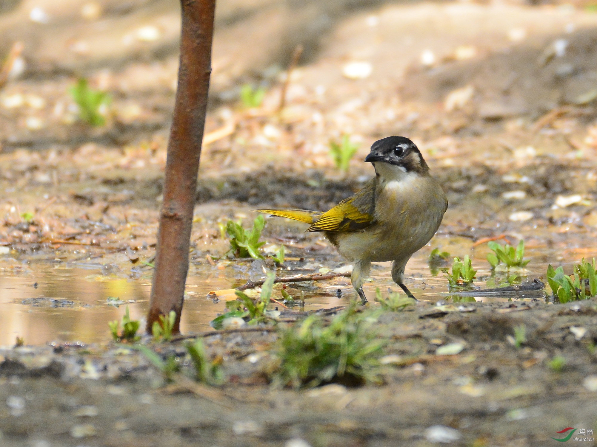 ������Ӱ 627����.jpg