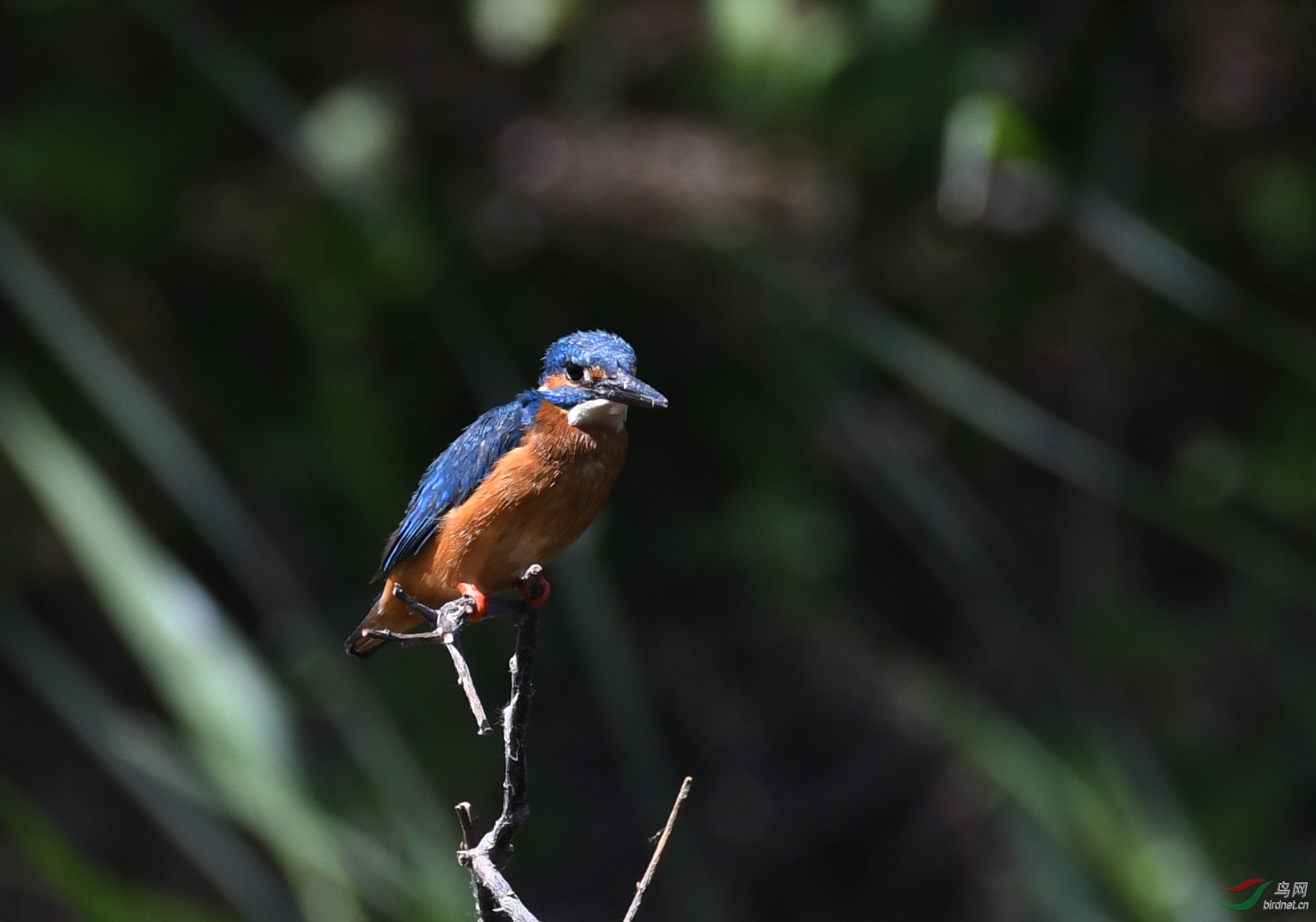 ������Ӱ 1788����.jpg