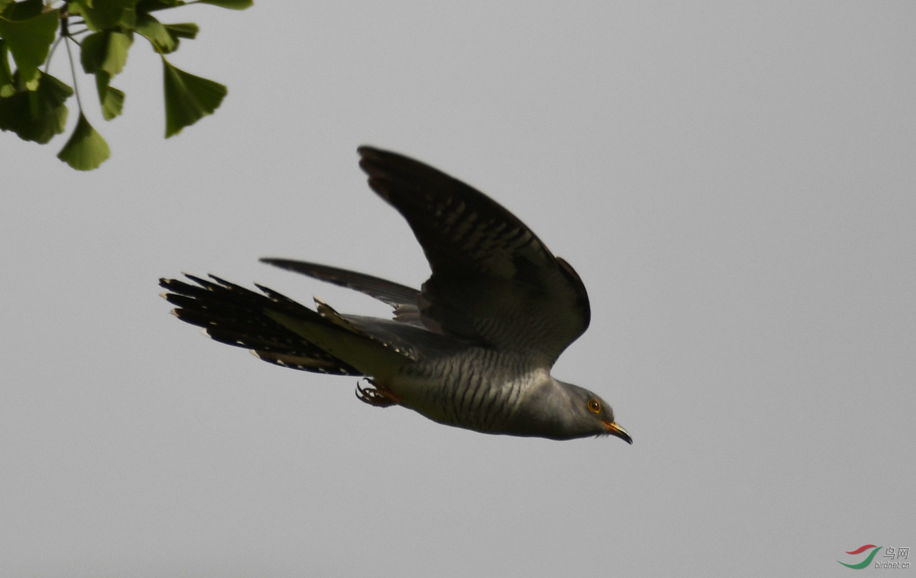 ������Ӱ 3565����.jpg