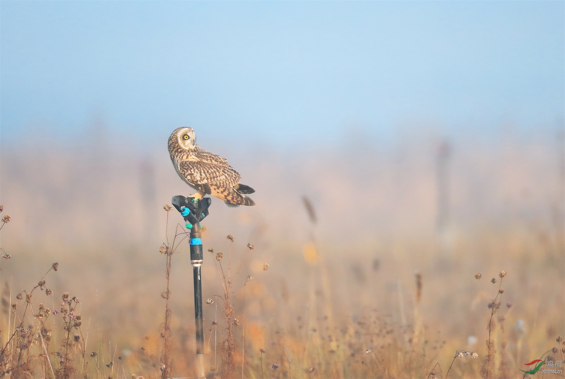 2 - ����.JPG