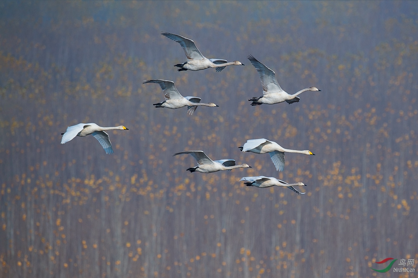 XCG_5887 - ����.jpg