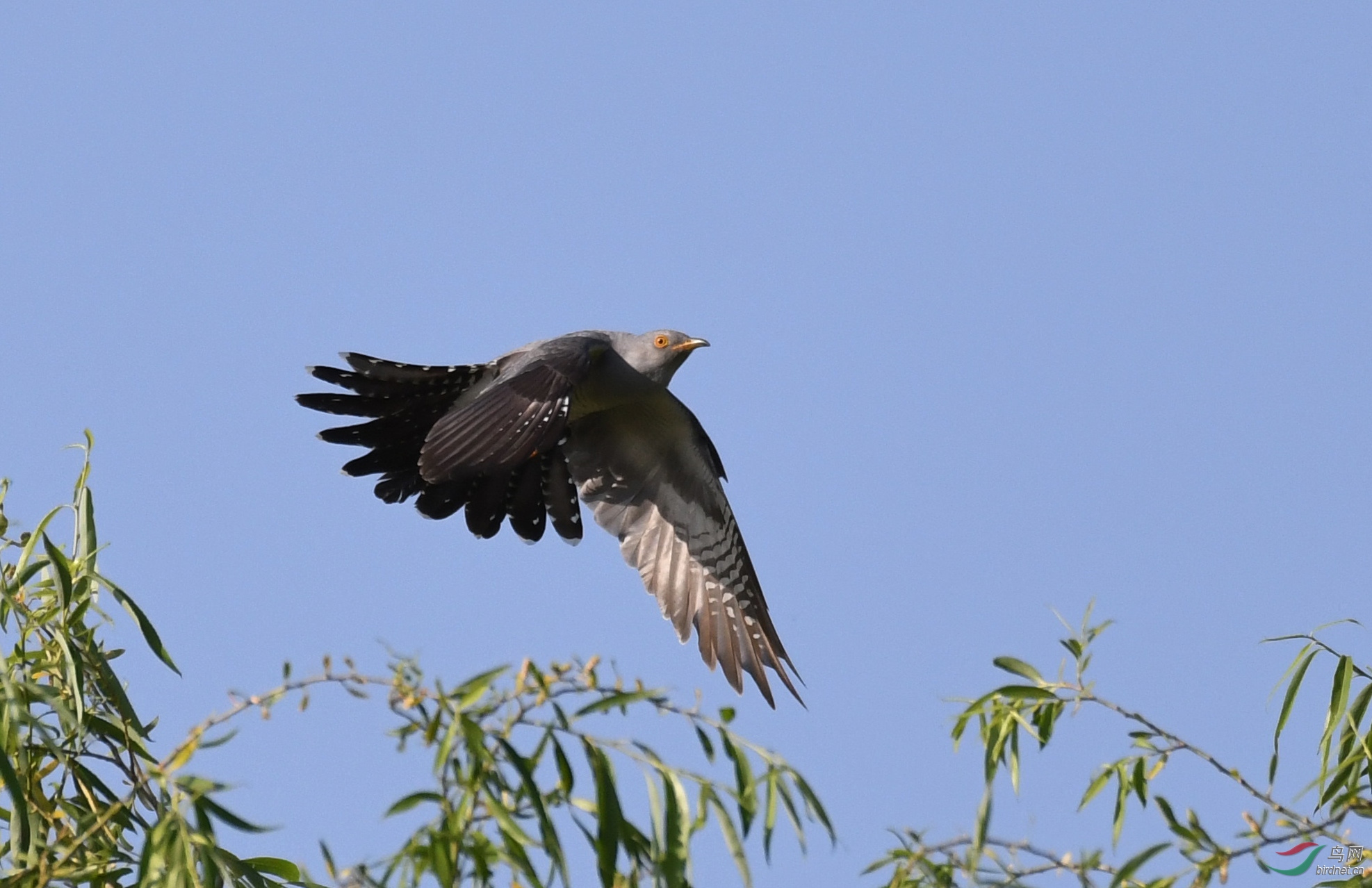 ������Ӱ 6112����.jpg