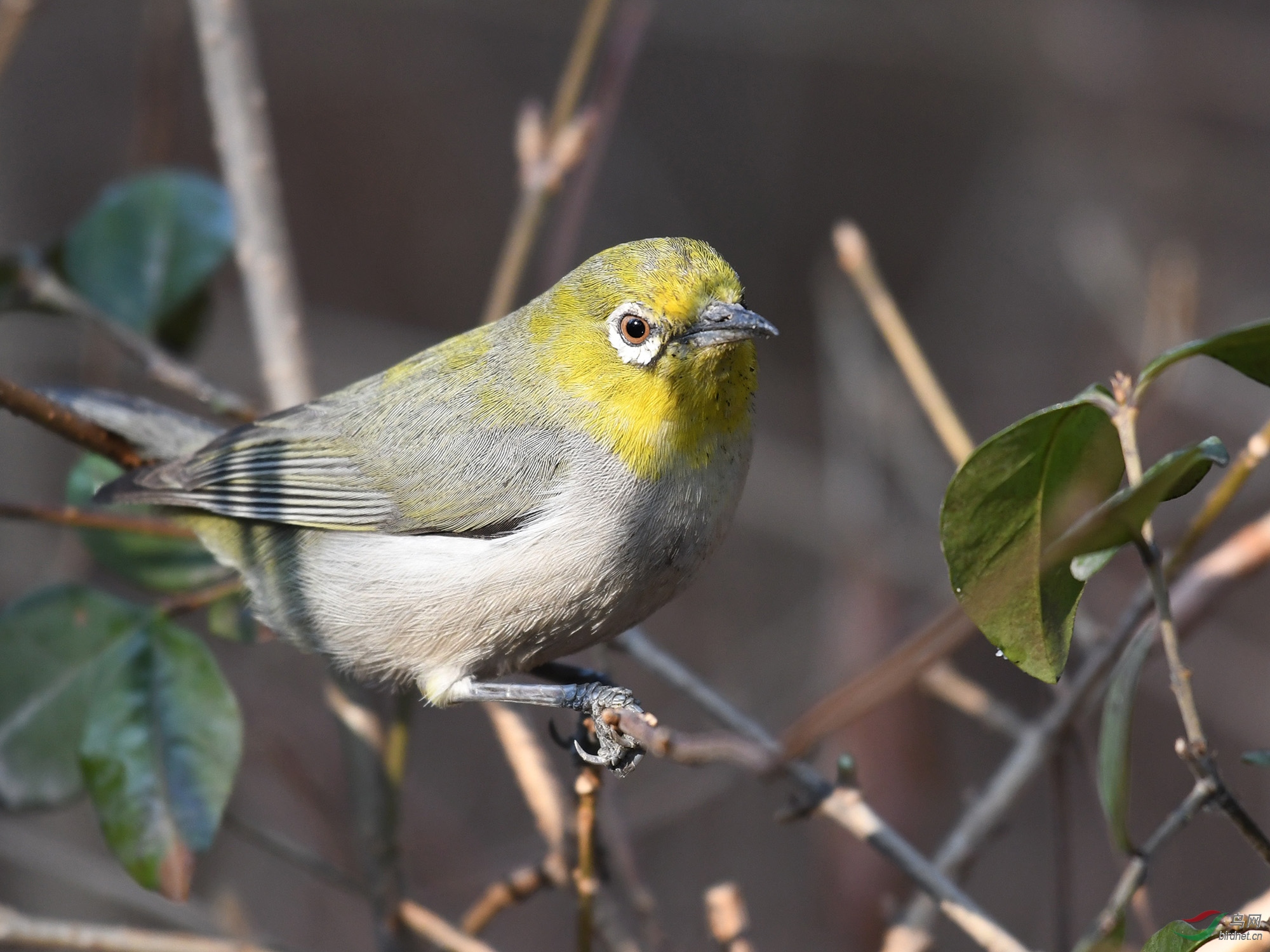 ������Ӱ 047����.jpg