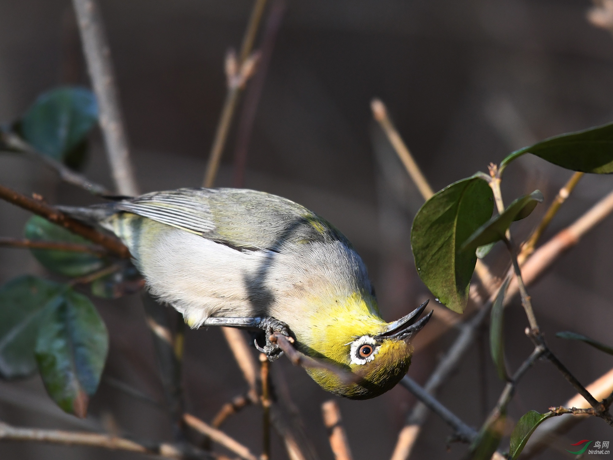 ������Ӱ 073����.jpg