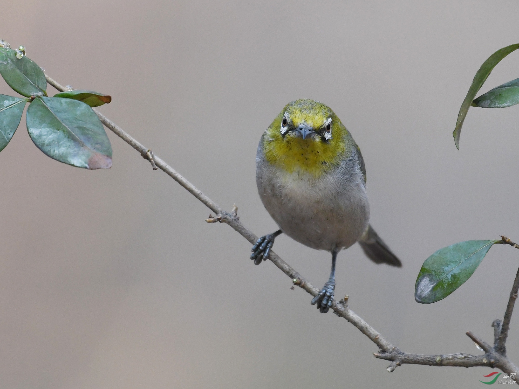 ������Ӱ 146����.jpg