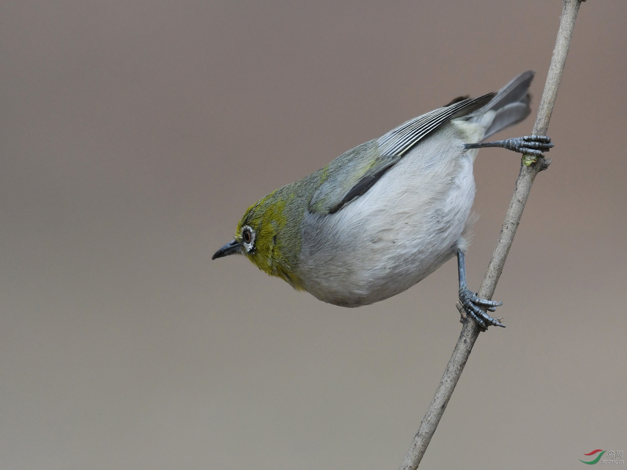 ������Ӱ 383����.jpg