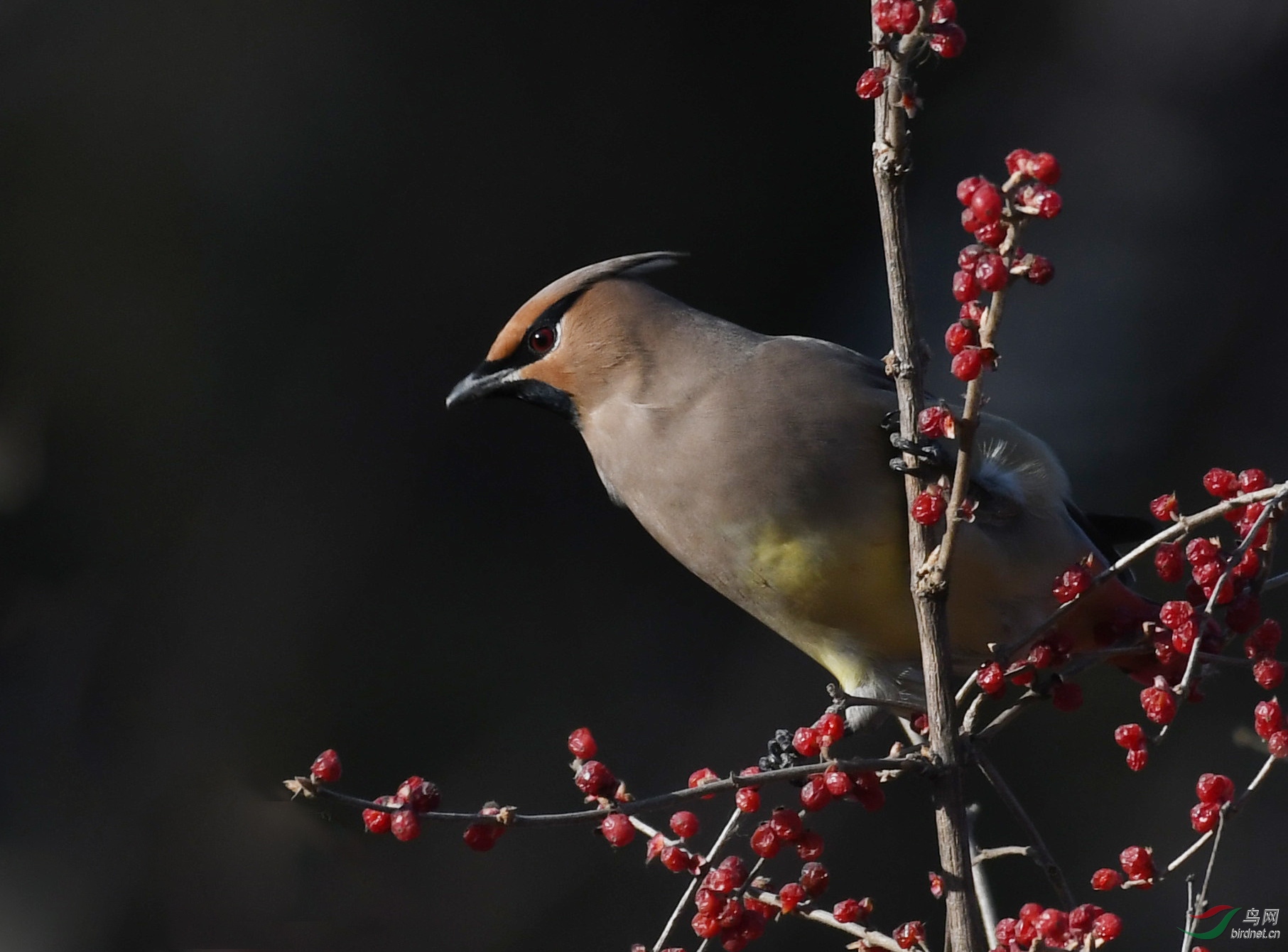 ������Ӱ 1549����.jpg