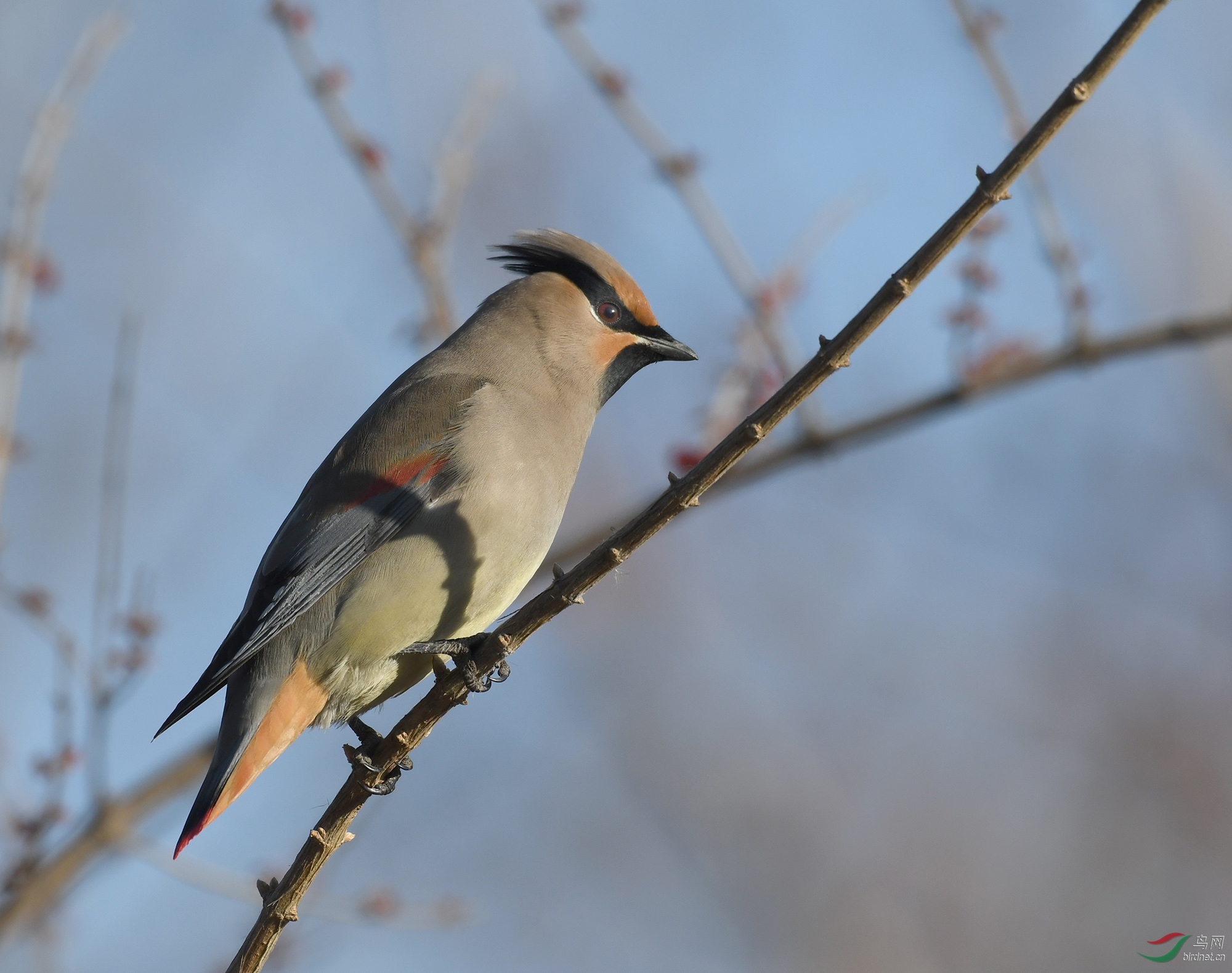 ������Ӱ 1625����.jpg