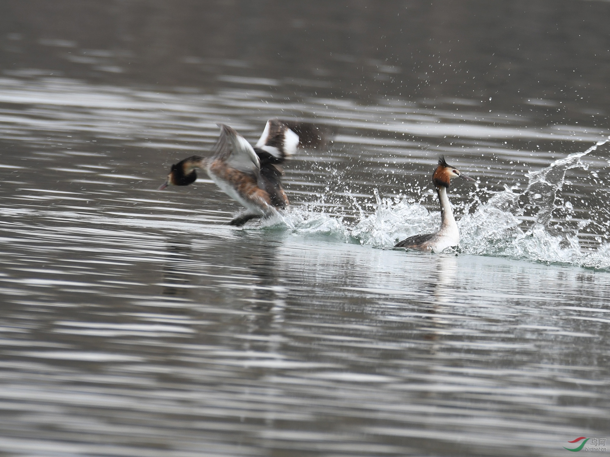 ������Ӱ 014����.jpg