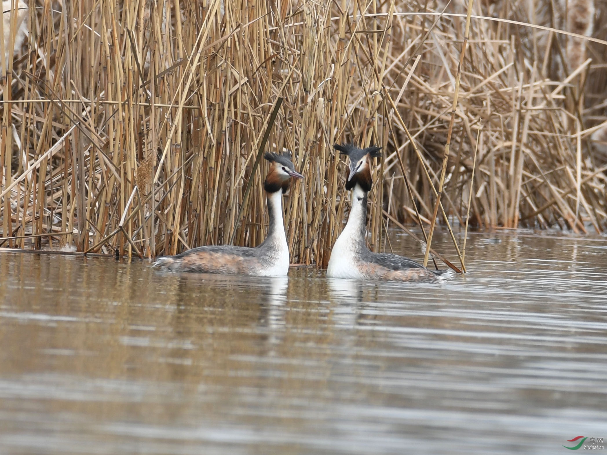 ������Ӱ 028����.jpg