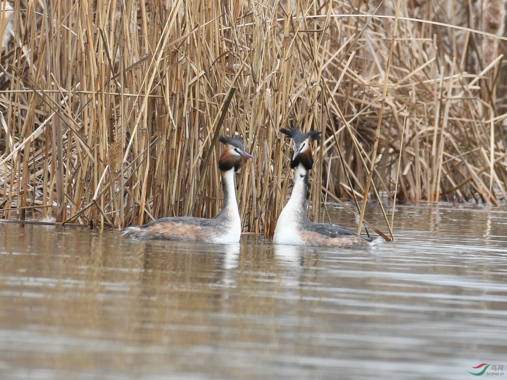 ������Ӱ 029����.jpg