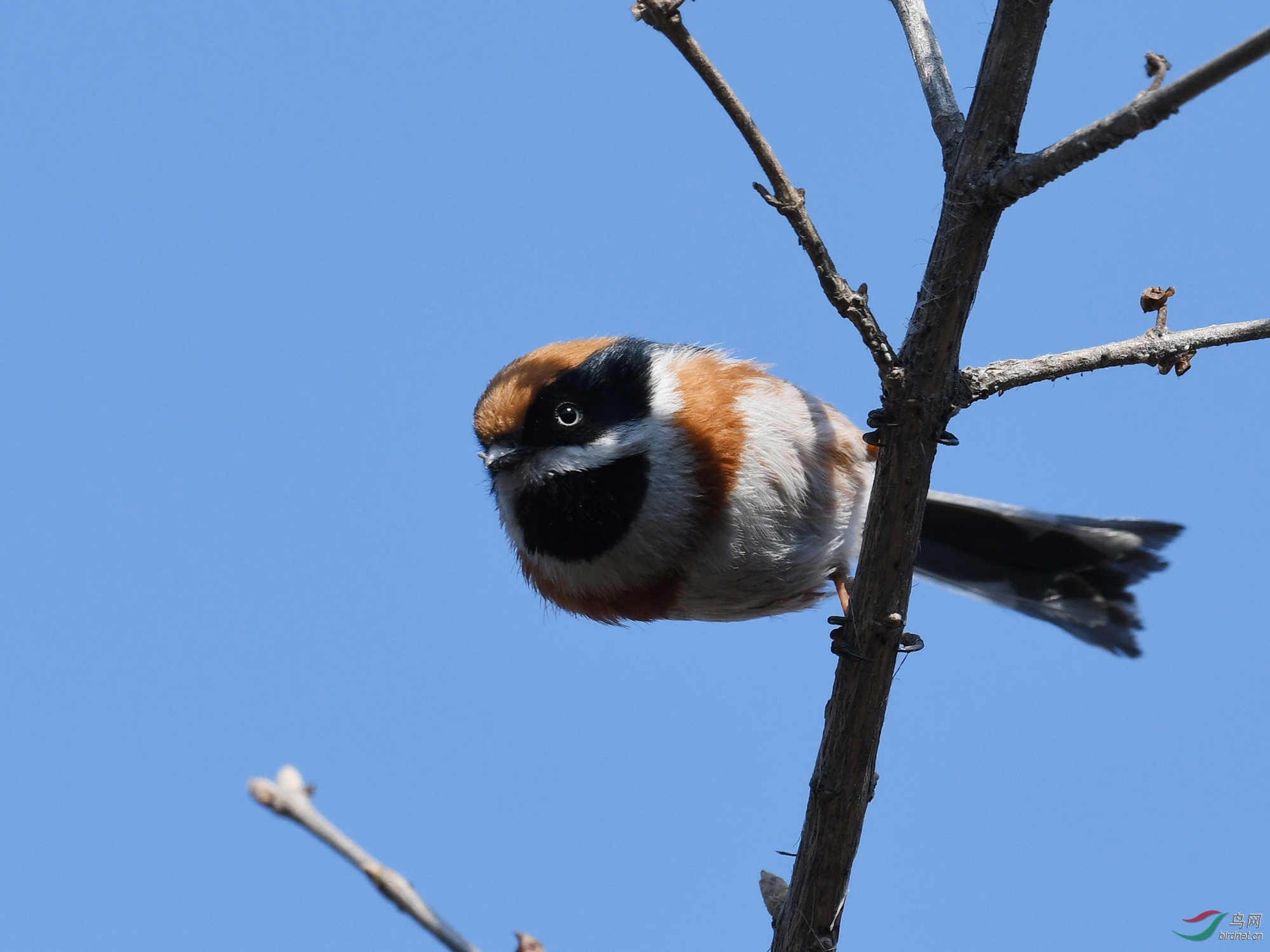 ������Ӱ 1186����.jpg